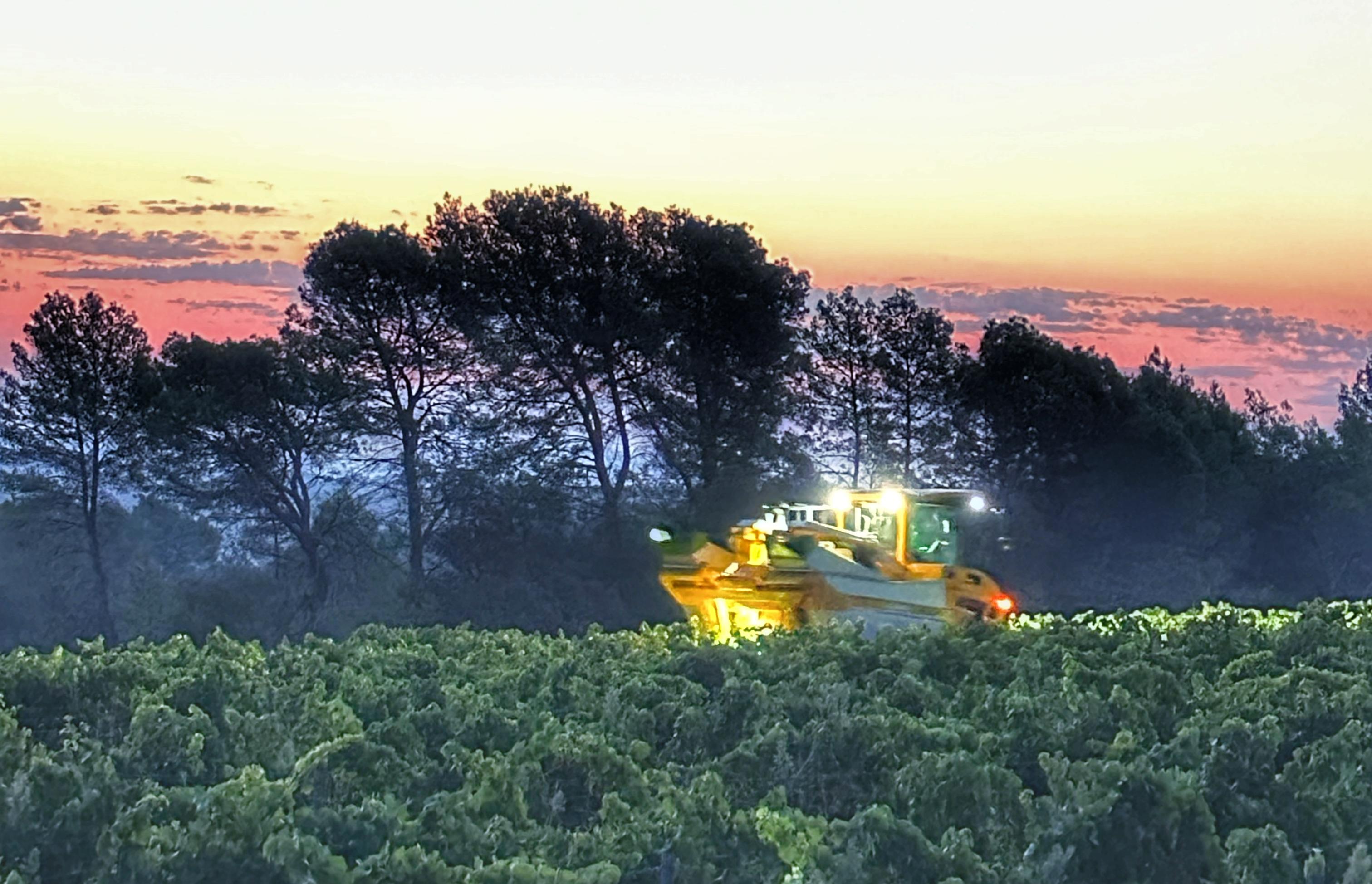 vendanges bien encadre pour la certification HVE