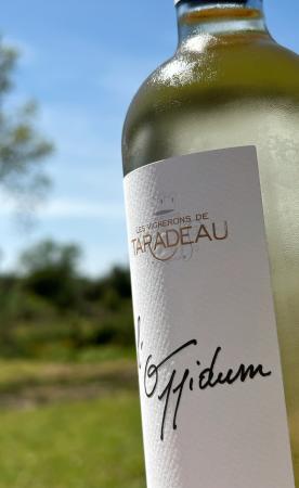 L'Oppidum ros : la fraicheur et les racines de la cave cooprative de Taradeau runit dans une bouteille de vin.