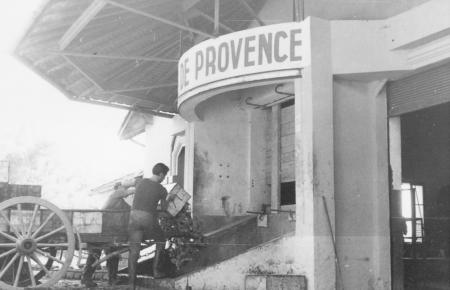 Revivez les vendanges de la cave cooprative des Vignerons de Taradeau : cave dj centenaire